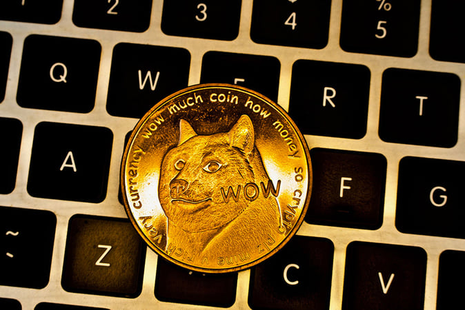 Elon Musk Attorney on $258B Dogecoin Lawsuit Files to Withdraw from This Case