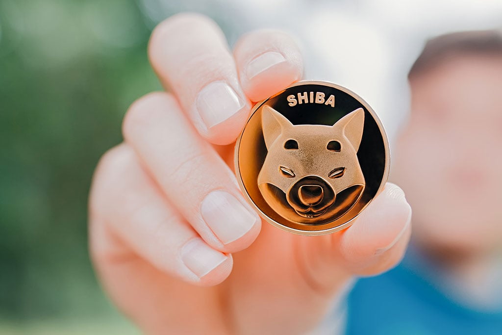 Shiba Inu (SHIB) Whale Activity on Rise amid Heightened Crypto Selling Pressure