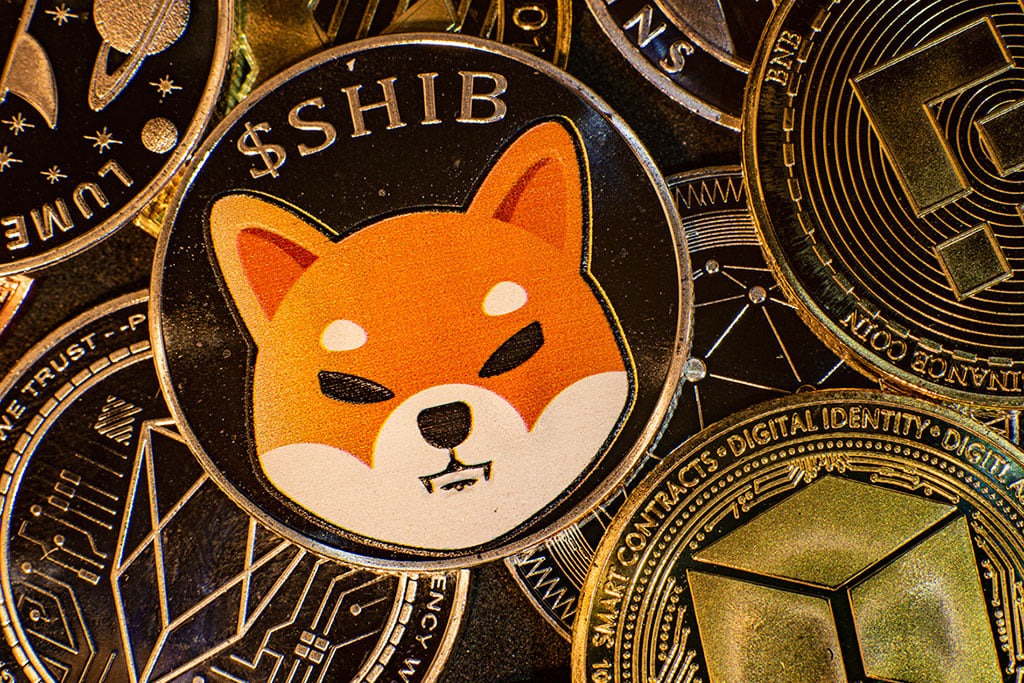 Shiba Inu Declines Briefly on Coinbase Following Price Surge of 50%