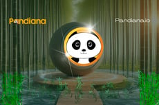 Pandiana, Meme Token On Solana, Closes $500,000 Pre-Seed Funding Round