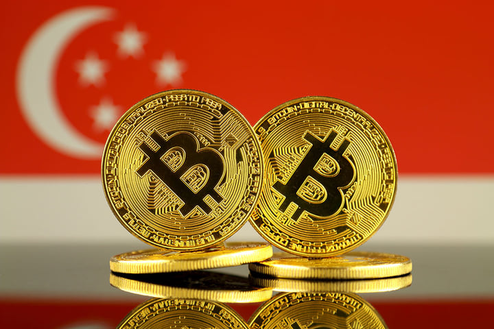 Singaporean Investors Embrace Bitcoin ETFs, 48% Planning to Increase BTC Holdings in 2024