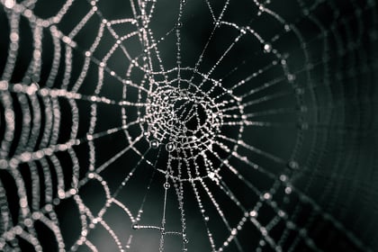 What Is a Dark Web?