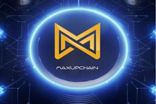 MaxUpChain: Revolutionizing Blockchain with Privacy and Interoperability at Its Core