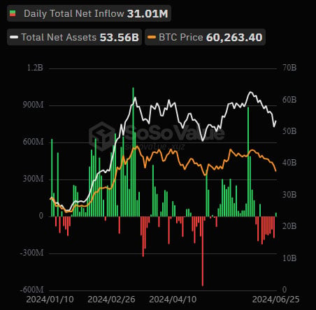 Spot Bitcoin ETFs Draw $31M Net Inflows, Reversing Seven-Day Outflow Trend