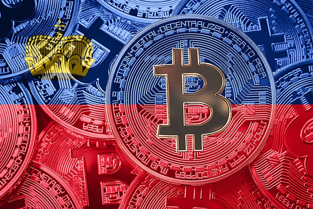Liechtenstein Considers Enabling Bitcoin Payments for Government Services