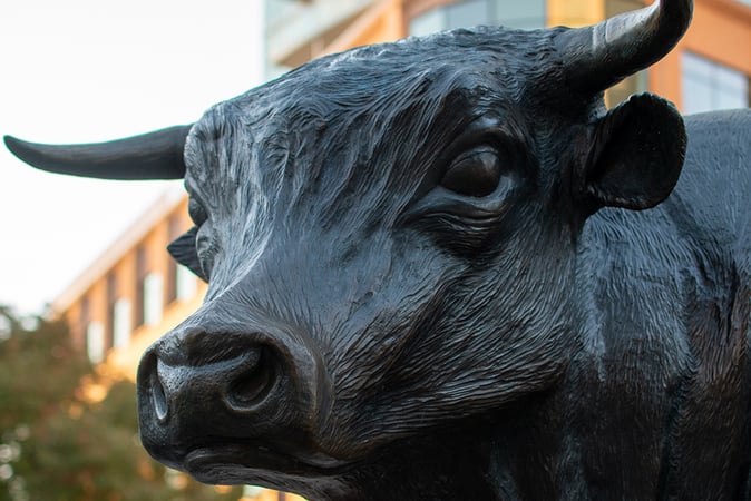 Crypto Executives Predict Bull Run for Bitcoin in 2024, Others Disagree