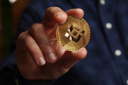 BNB, XRP & TOAD Price Predictions March 2023