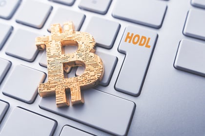 What Is HODL Strategy?