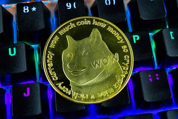 Elon Musk Accused of Dogecoin Insider Trading Offences by Aggrieved Investors
