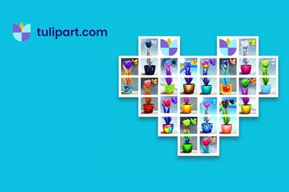 TulipArt Launches a Collection of Tulip NFTs Minted Daily over 7 Years