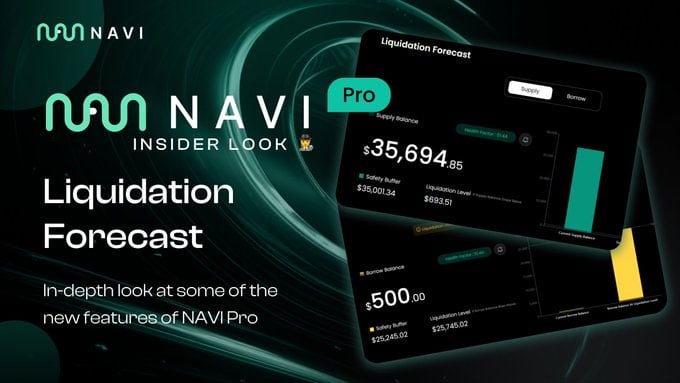 NAVI Pro Launch - a New Generation of Liquidity Management on Sui