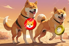 Influential Analyst on YouTube Shares ‘High-Potential’ Cryptocurrency That Could Beat Shiba Inu (SHIB) and Dogecoin (DOGE) Gains in This Bull Run