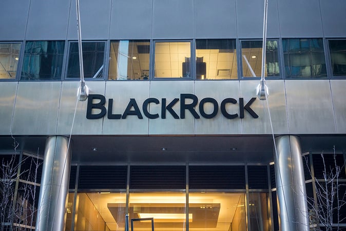 BlackRock May See Spot Bitcoin ETF Approved within 6 Months, Novogratz Believes