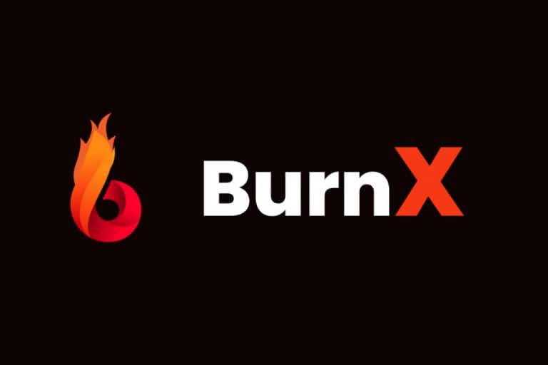 burnx free download
