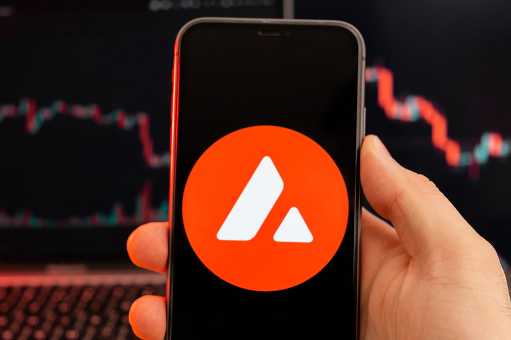 Avalanche (AVAX) Price Dips to 6-Monthly Lows: What’s Next?