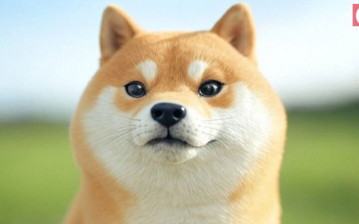 Dogecoin Price Jumps 5% as Foundation Buys 10 Million DOGE